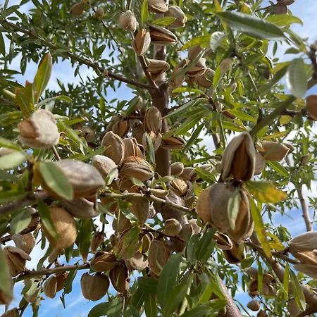 호텔 Bademli