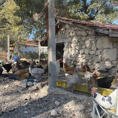 Bademli Ulucak